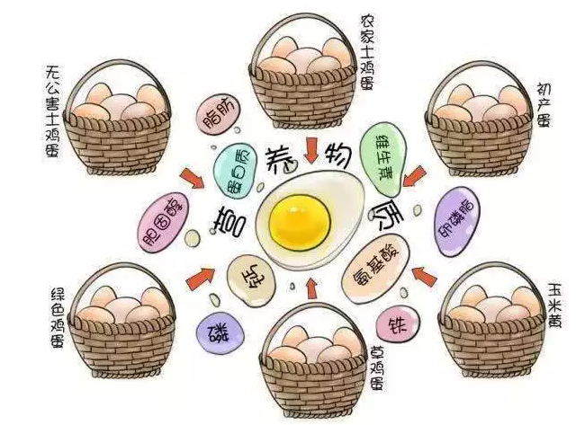 遍尋菜譜收集的雞蛋7中新吃法，第2中最好，第7中最營(yíng)養(yǎng)